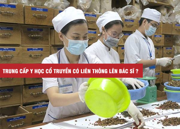 Học Trung cấp Y học cổ truyền có liên thông lên Bác sĩ Y học cổ truyền