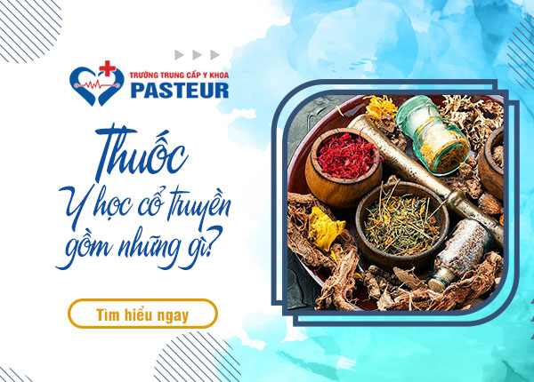 Thuốc Y học cổ truyền gồm những gì?