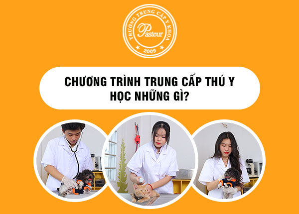 Chương trình trung cấp thú y học những gì?