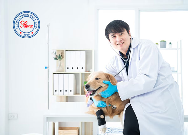 Đăng ký học Trung cấp Thú y – Dễ hay khó?