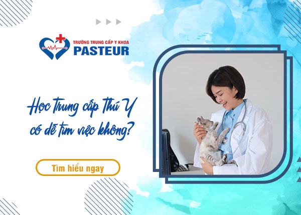 Học Trung cấp Thú Y có dễ tìm việc sau khi tốt nghiệp không?