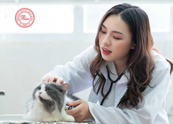 Học Trung cấp Thú Y mấy năm nhận bằng tốt nghiệp?
