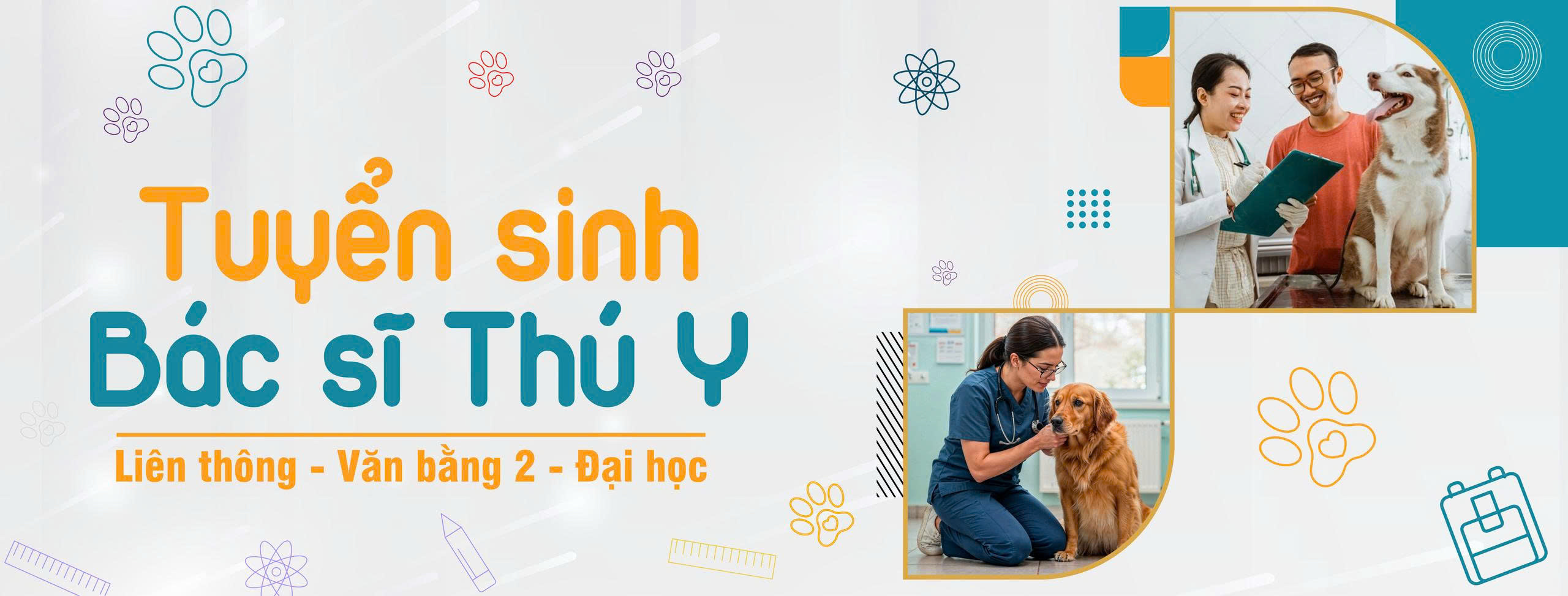 lien thông văn bằng 2 bác sĩ thú y