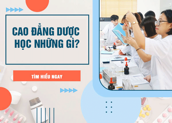 Khung chương trình Cao đẳng Dược gồm những môn gì? Cập nhật chi tiết 2026
