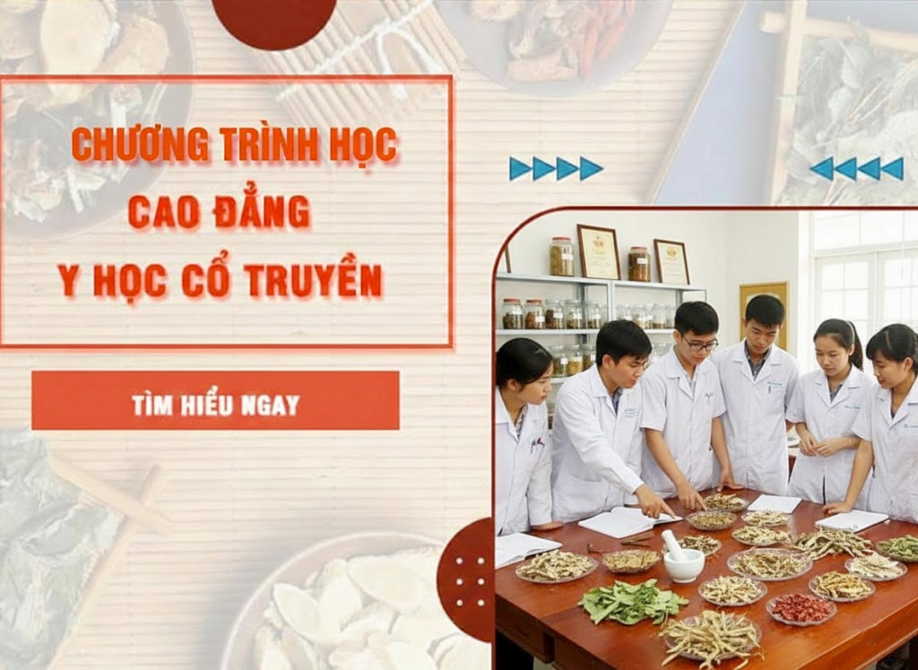 Cao đẳng Y học cổ truyền học những gì?