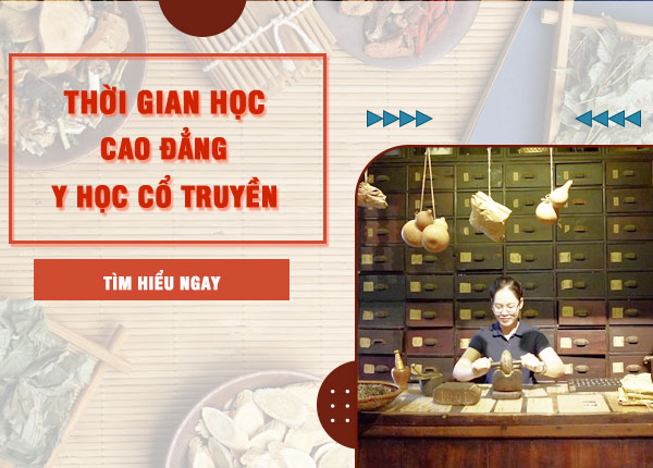 Cao đẳng Y học cổ truyền học mấy năm? Thời gian – hình thức đào tạo mới nhất 2026