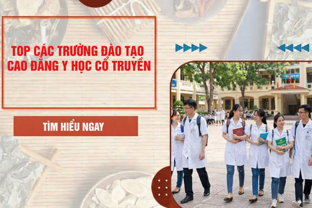 TOP các trường Cao đẳng Y học cổ truyền TP.HCM