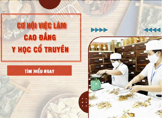 Học Cao đẳng Y học cổ truyền ra làm gì? Cơ hội việc làm – đầu ra năm 2026