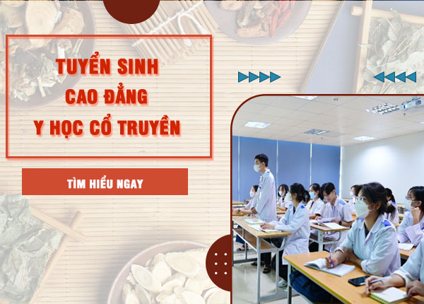 Học phí Cao đẳng Y học cổ truyền TP.HCM Học phí Cao đẳng Y học cổ truyền TP.HCM