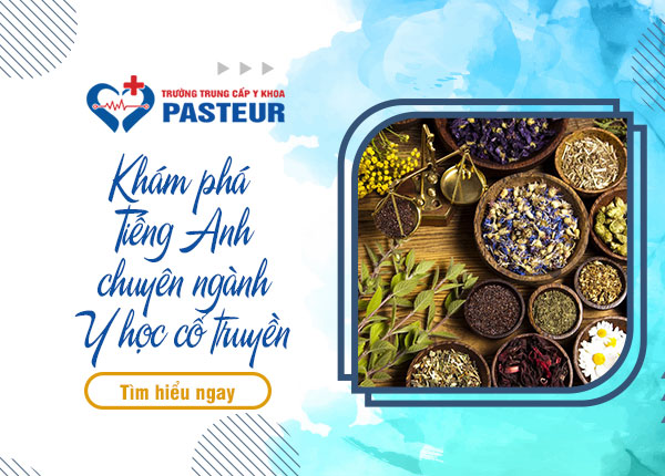 Khám phá từ vựng Tiếng Anh chuyên ngành Y học cổ truyền Khám phá từ vựng Tiếng Anh chuyên ngành Y học cổ truyền
