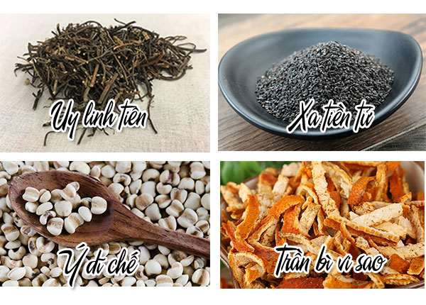 Thuốc Y học cổ truyền gồm những gì? Thuốc Y học cổ truyền gồm những gì?
