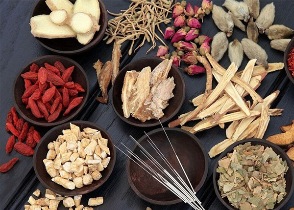 Thuốc Y học cổ truyền gồm những gì? Thuốc Y học cổ truyền gồm những gì?
